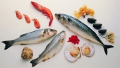Картинки по запросу Рыба и морепродукты