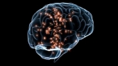 Ученые исследовали мозг под ЛСД
