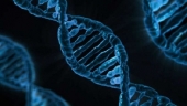 Ученые смогли вылечить редкую генетическую патологию
