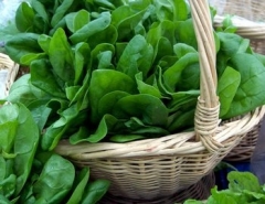 Какие овощи защищают от диабета?