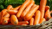 Гликемический индекс продуктов