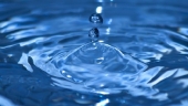 Капля воды – источник жизни на земле | Новости | ZdravoE
