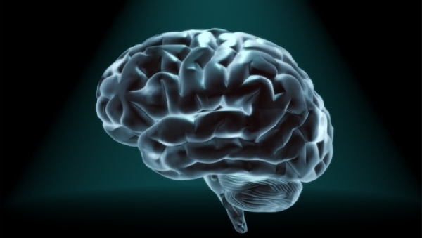 Мозг человека постоянно «тормозит»