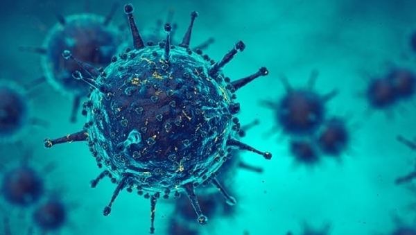 Обнаружено лекарство от двух опасных вирусов