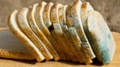 Продуктовая плесень – угроза дыханию